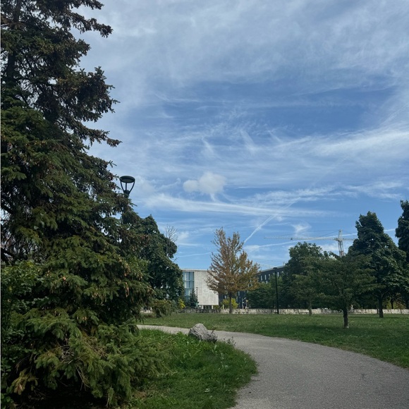 g102856839